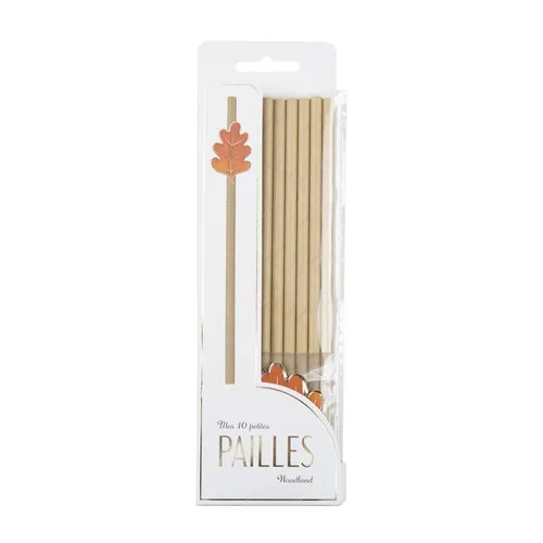 SET DE 10 PAILLES WOODLAND