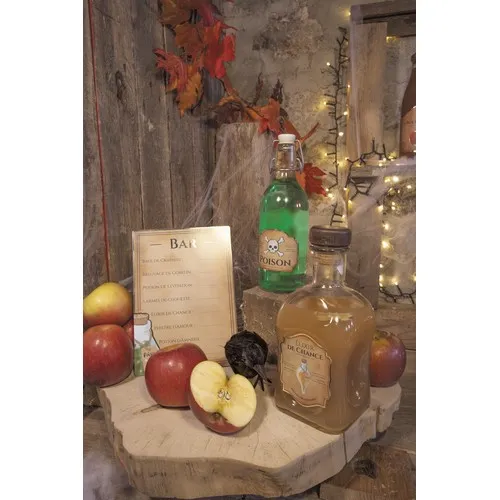 SET DECO LE BAR DES APPRENTIS SORCIERS