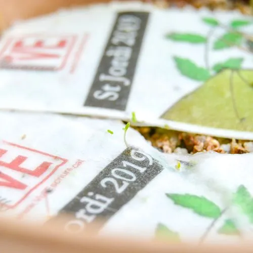 Signet - pers. Recto