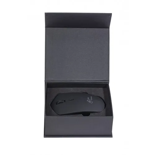 souris & base induction 10W