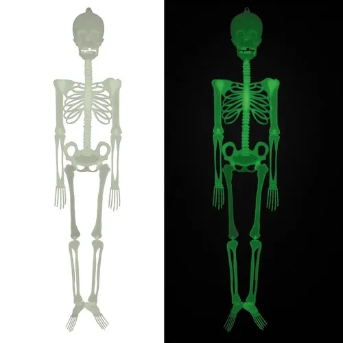 SQUELETTE GID 1.5M
