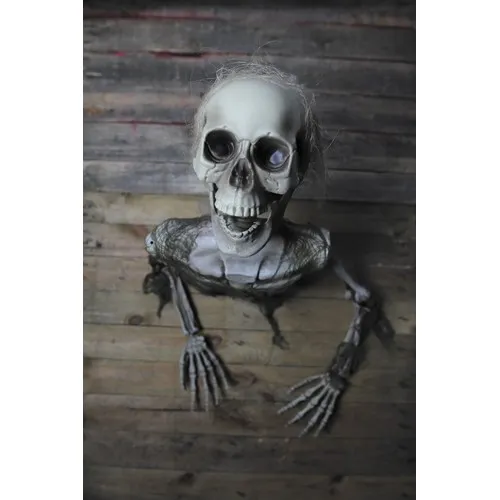 SQUELETTE MORT VIVANT EFFRAYANT