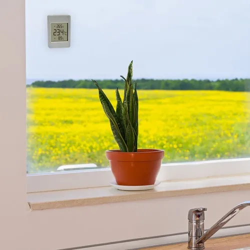 Thermomètre de fenêtre numérique WINDOO