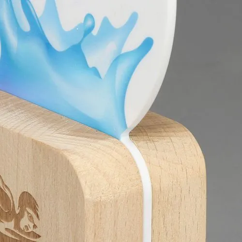 Trophée en plexiglass et bois personnalisable
