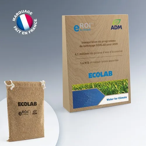 Trophée trapeze en bois