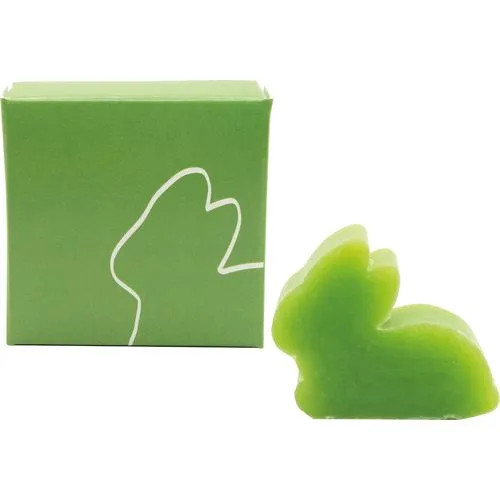 Un Petit Rêve de Savon